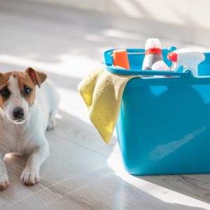 Pet-Friendly Cleaning Service